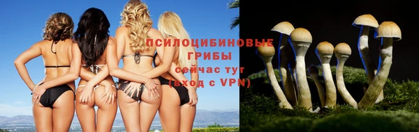 ПСИЛОЦИБИНОВЫЕ ГРИБЫ Ростов