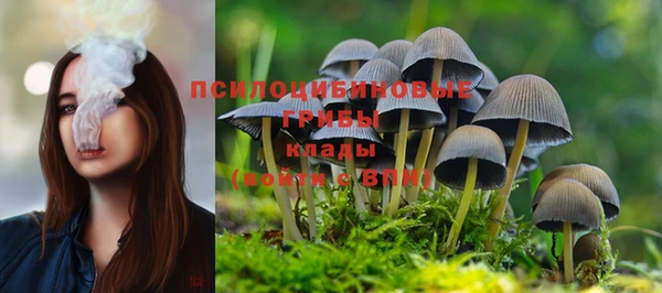 ПСИЛОЦИБИНОВЫЕ ГРИБЫ Ростов