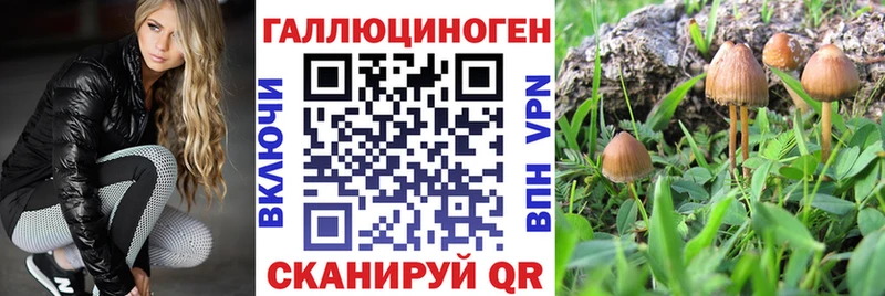 Псилоцибиновые грибы мухоморы  Томмот 